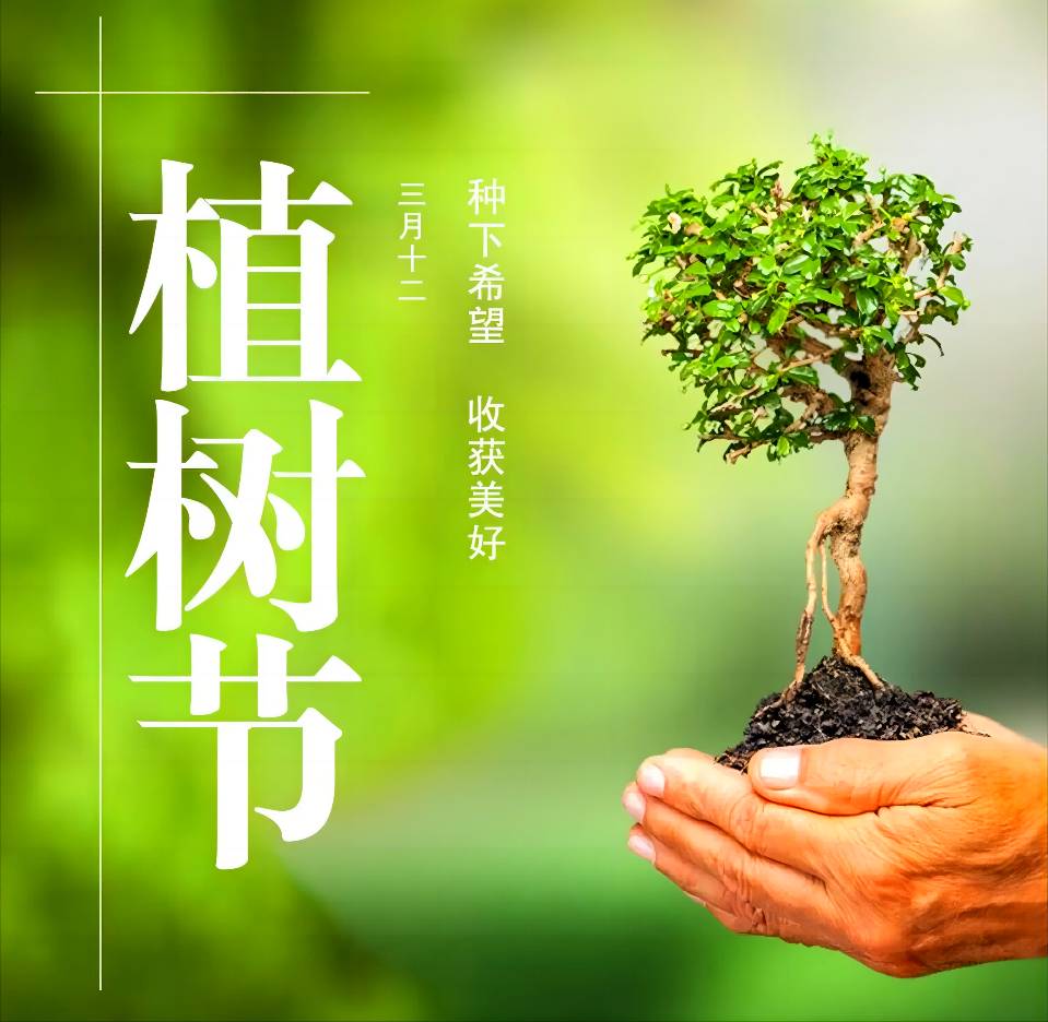 国风总社-235‖同题2026植树节-北京头条(图7)