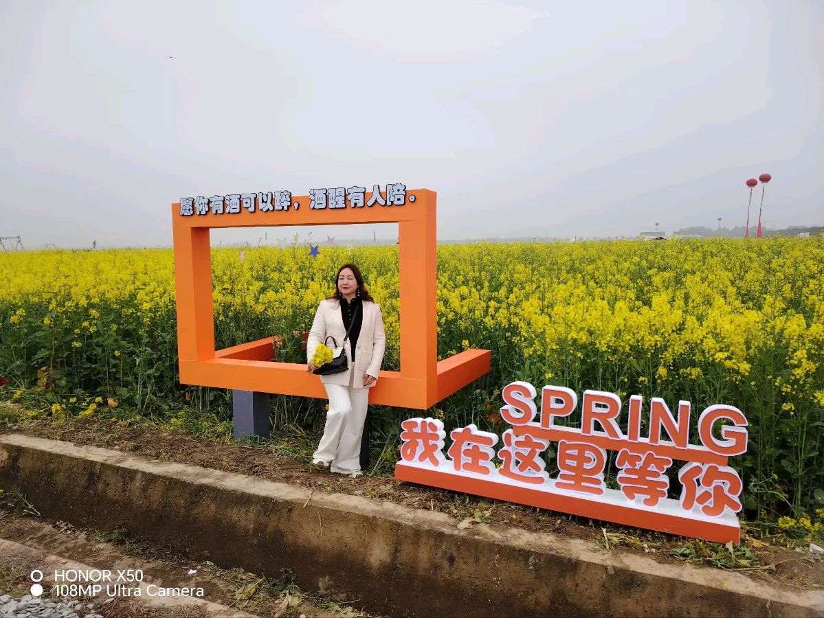 大美江湖，花漾中洲（图13）