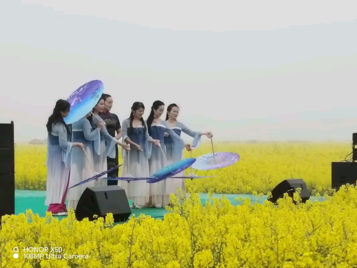 大美江湖,花漾中洲(图21)