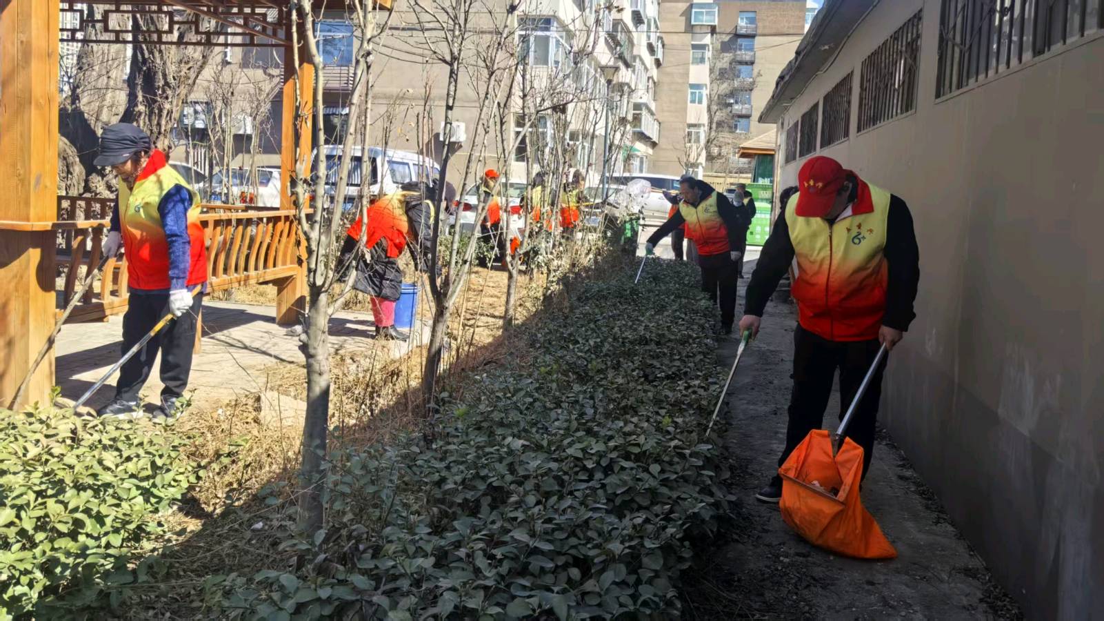 小区红马甲焕新颜 志愿护航洁家园（图4）