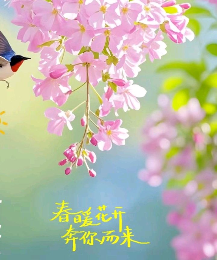 春天的气息｜高军（山东）（图6）