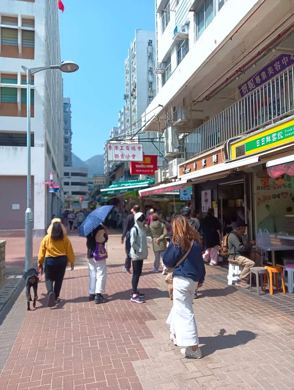 香港烟火人间（组诗三首）李宣财（福建）（图42）