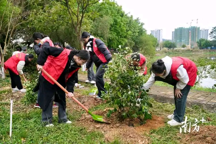 🇨🇳【中国诗人】第1253篇（名家风采）植树节古诗词三首//孔德良（甘肃）（图4）