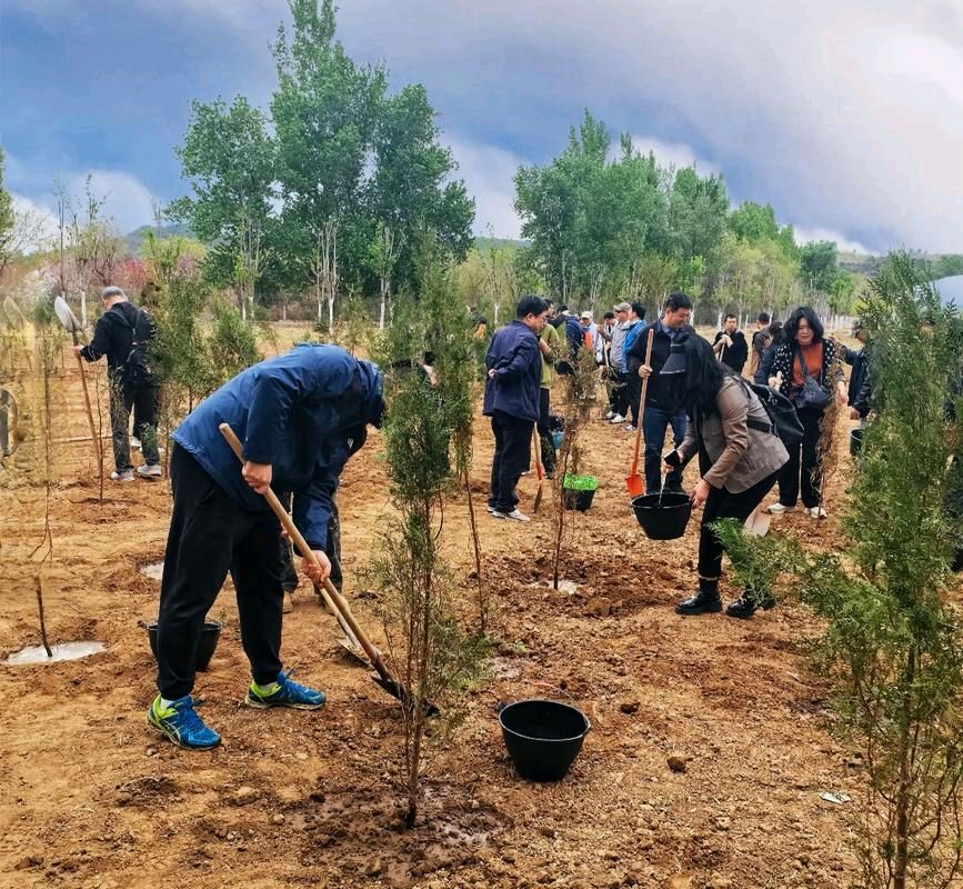 《齐鲁风文学》推出（山东诸城）周玉欣《七律.植树造林》请关注（图5）