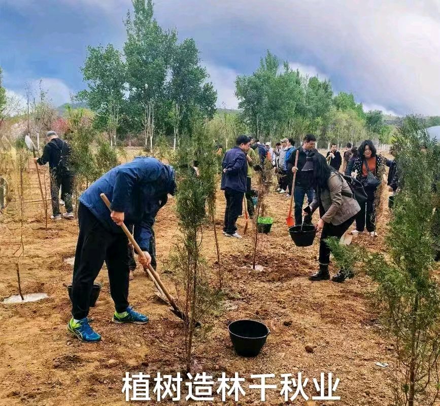 咏植树节（新韵） 作者 周大策