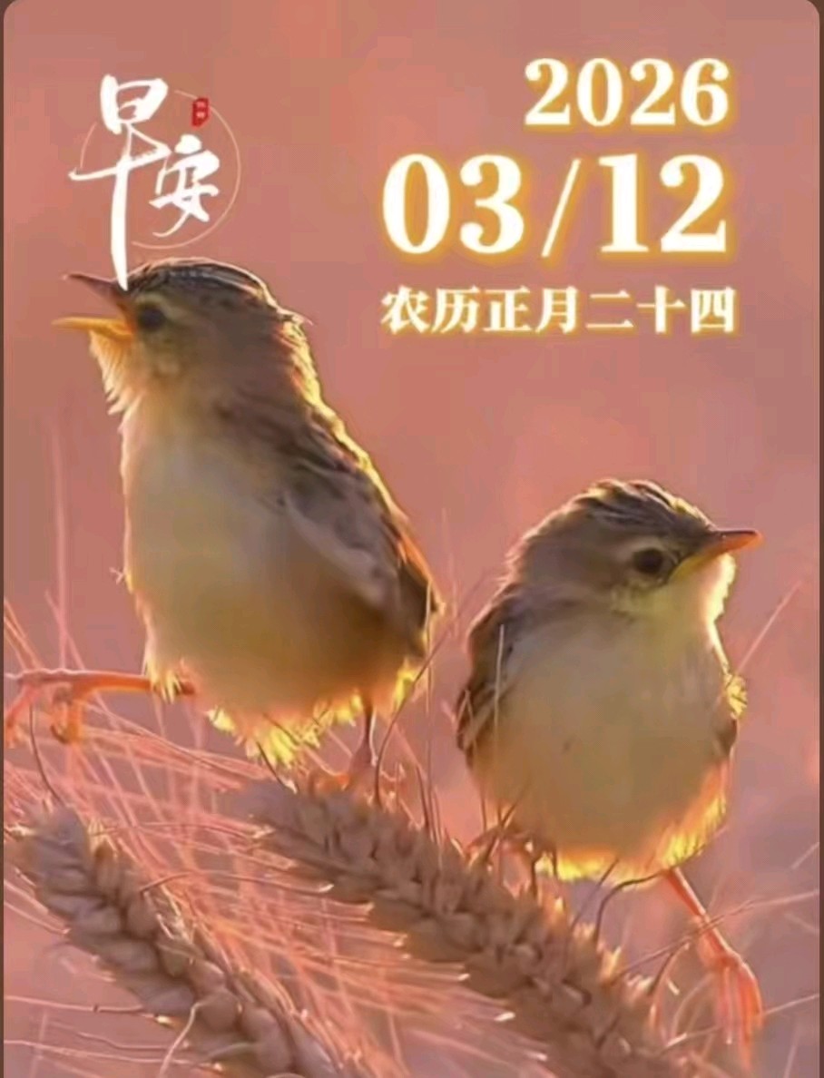 【都市头条向幸福出发编辑部】第15235期 三月的温柔晨光文 如月 主播 淡淡茶香