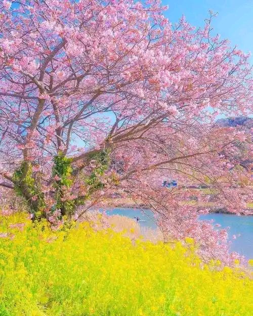 再题植树节 作者:姜文鹏（图2）