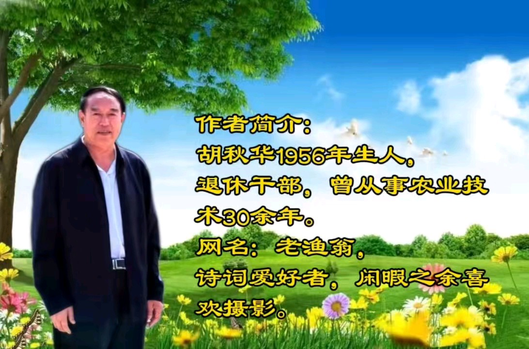 山乡游宿 文/老渔翁（图4）