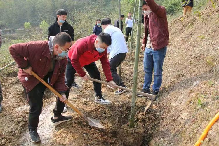 【荣耀中国】文学社*周刊第307期(图3)