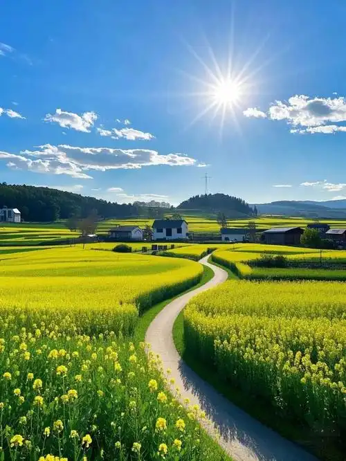 【茌山诗苑】河北张博生‖踏青游•西山赏春（图2）