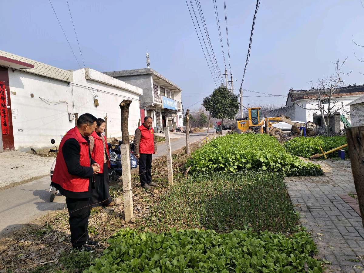 宝丰县张八桥镇：禁毒铲毒不停步 源头管控守平安（图3）