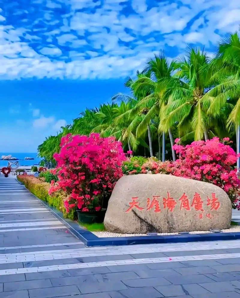 【茌山诗苑】山东冯喆‖海南走笔（组诗）（图7）