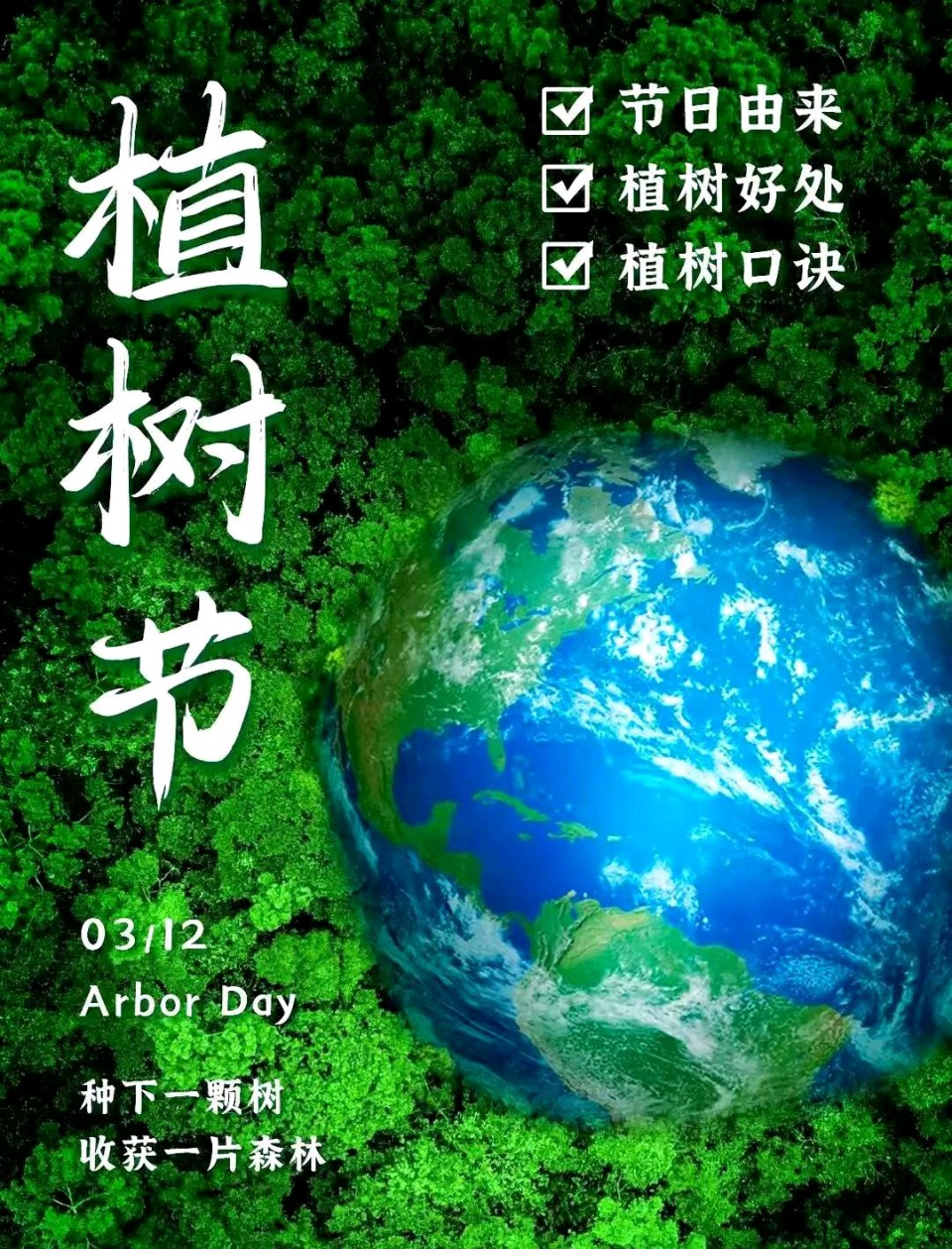 3.12中国植树节感吟/作者：戴建中（图5）