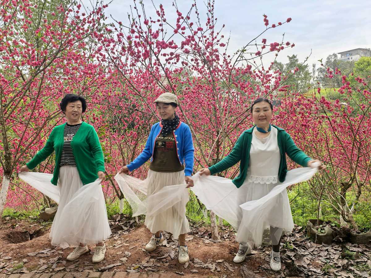 「散文」彭家堡，桃花盛开满山坳（图8）