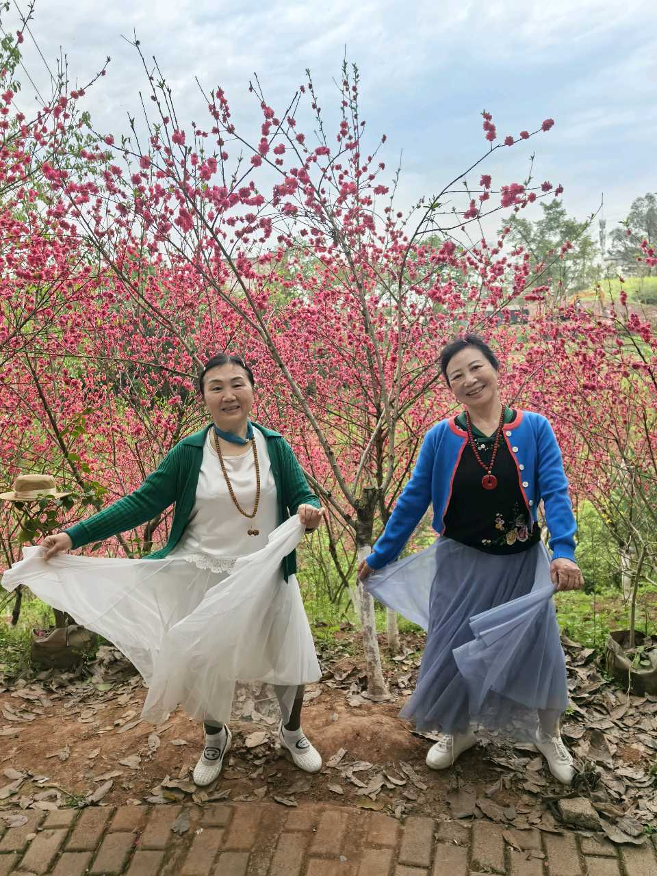 「散文」彭家堡，桃花盛开满山坳（图20）
