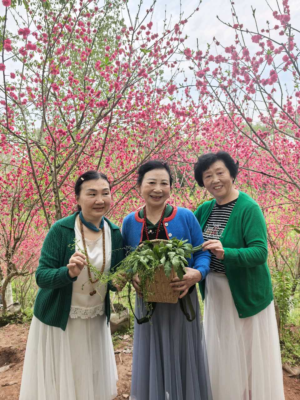 「散文」彭家堡，桃花盛开满山坳（图25）