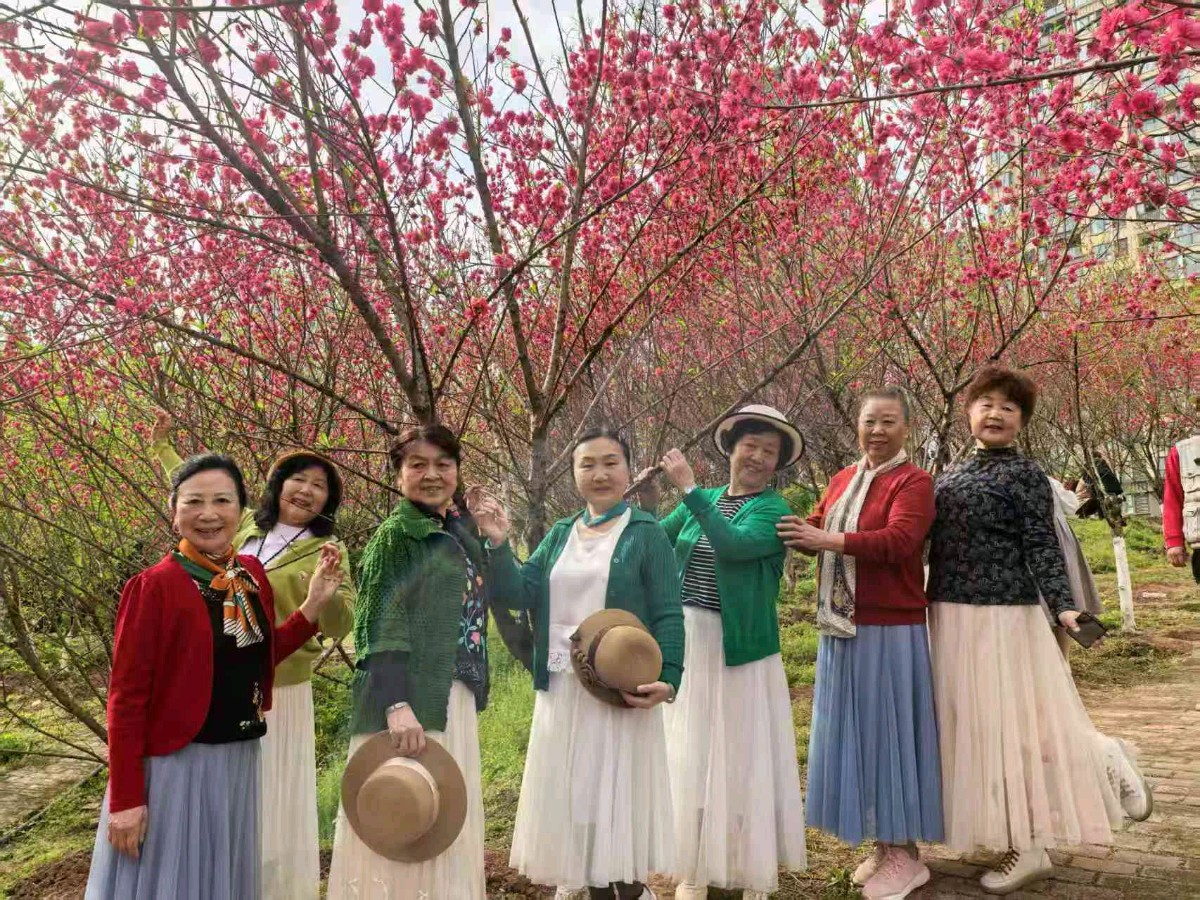 「散文」彭家堡，桃花盛开满山坳（图10）
