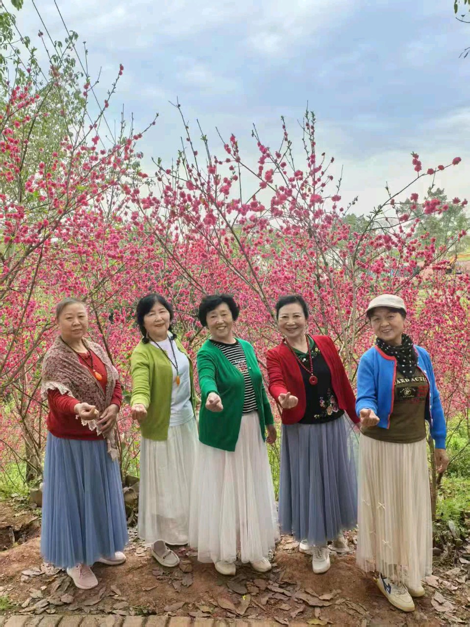 「散文」彭家堡，桃花盛开满山坳（图13）