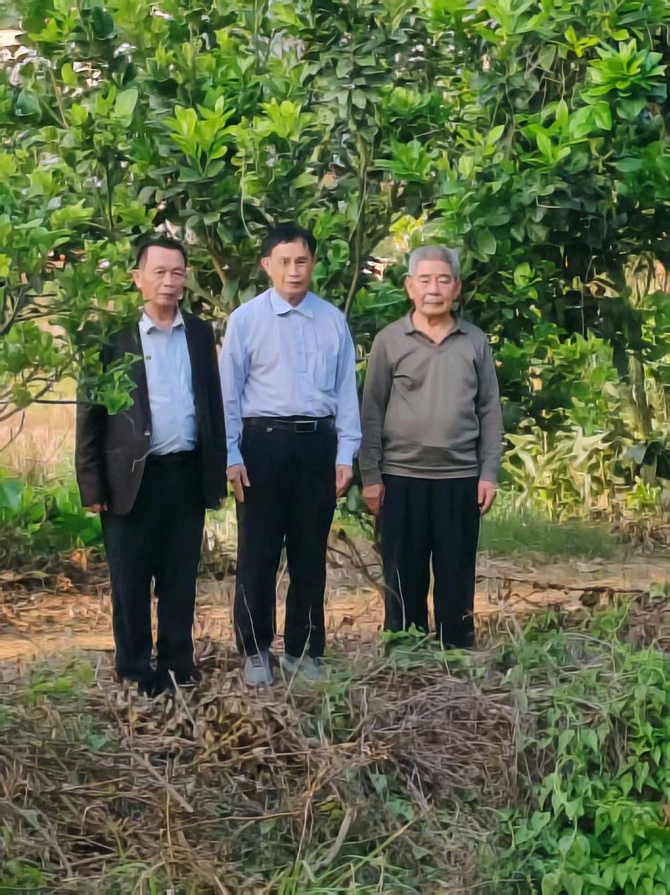联机全球发布谢瑛中作品欣赏(图26)