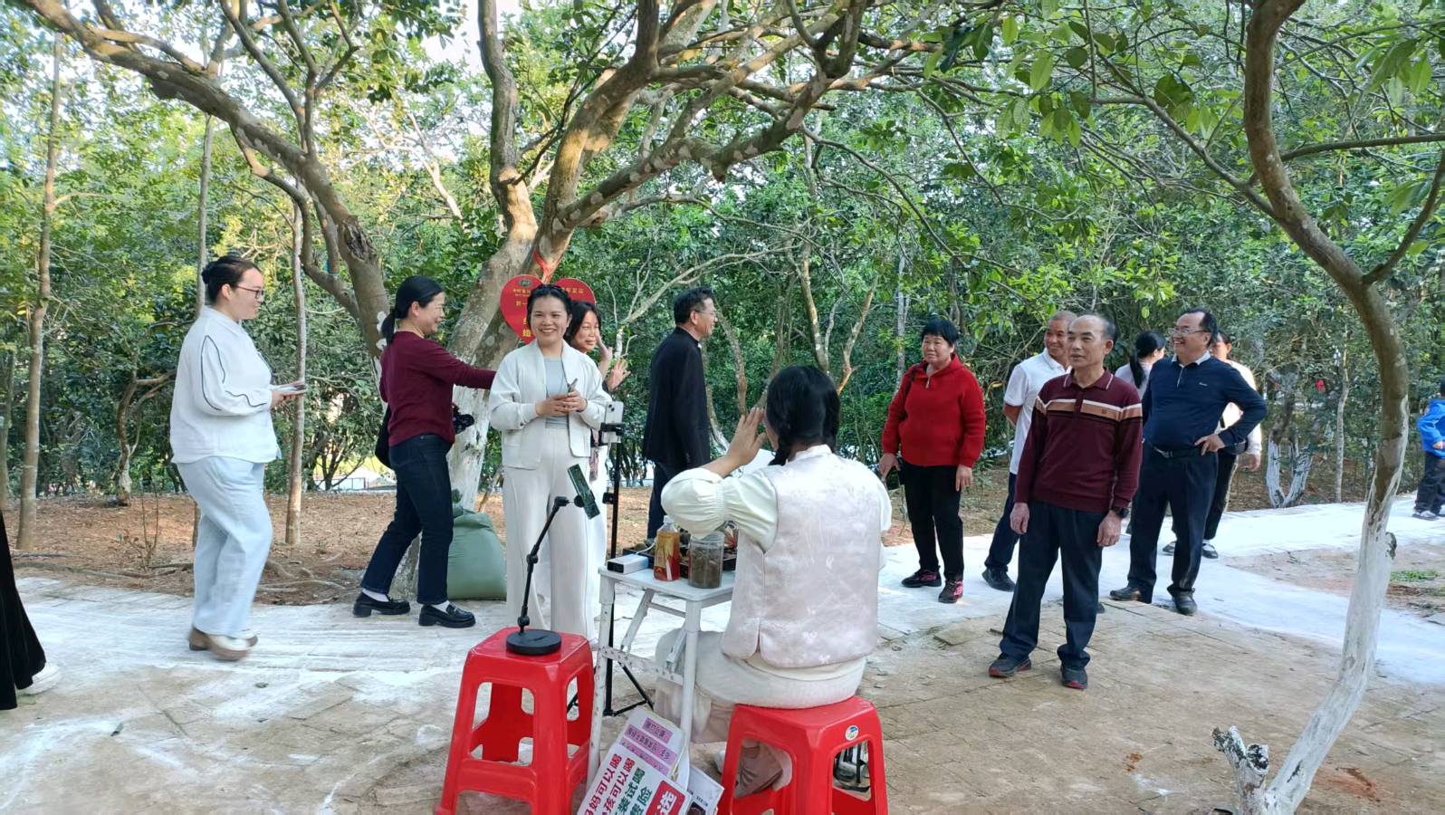 联机全球发布谢瑛中作品欣赏(图31)