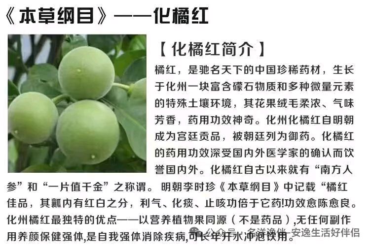 联机全球发布谢瑛中作品欣赏(图9)