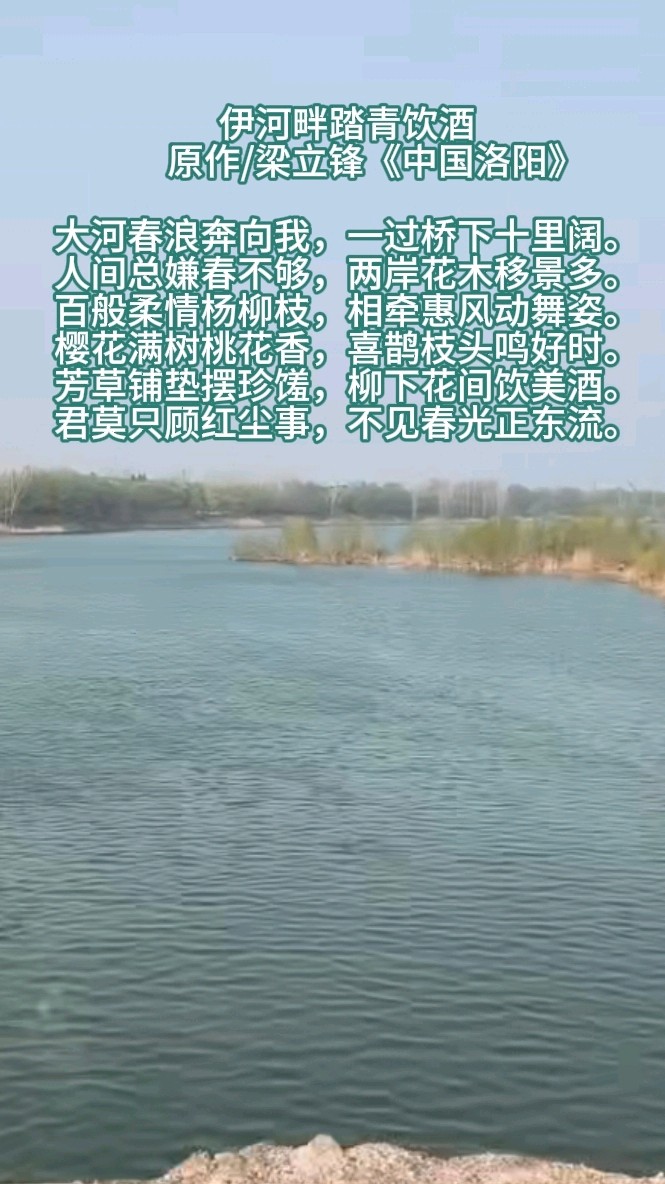 伊河畔踏青饮酒 原作/梁立锋