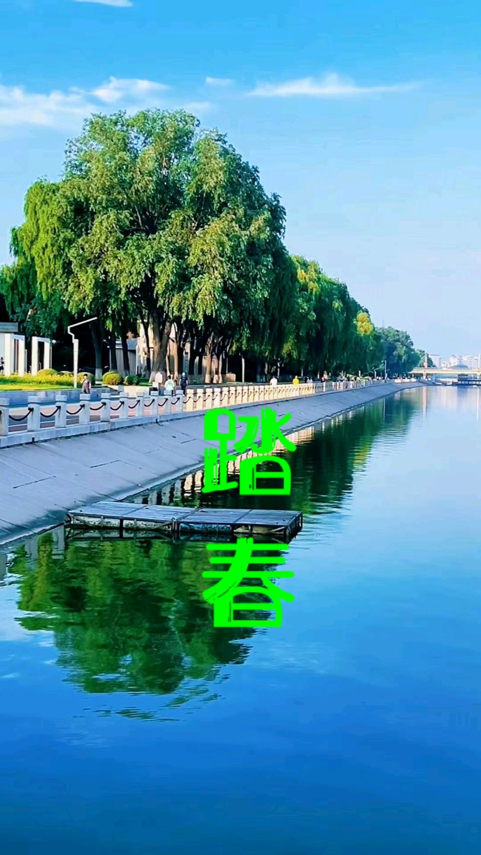翻香令-踏春～王政（辽宁）（图11）