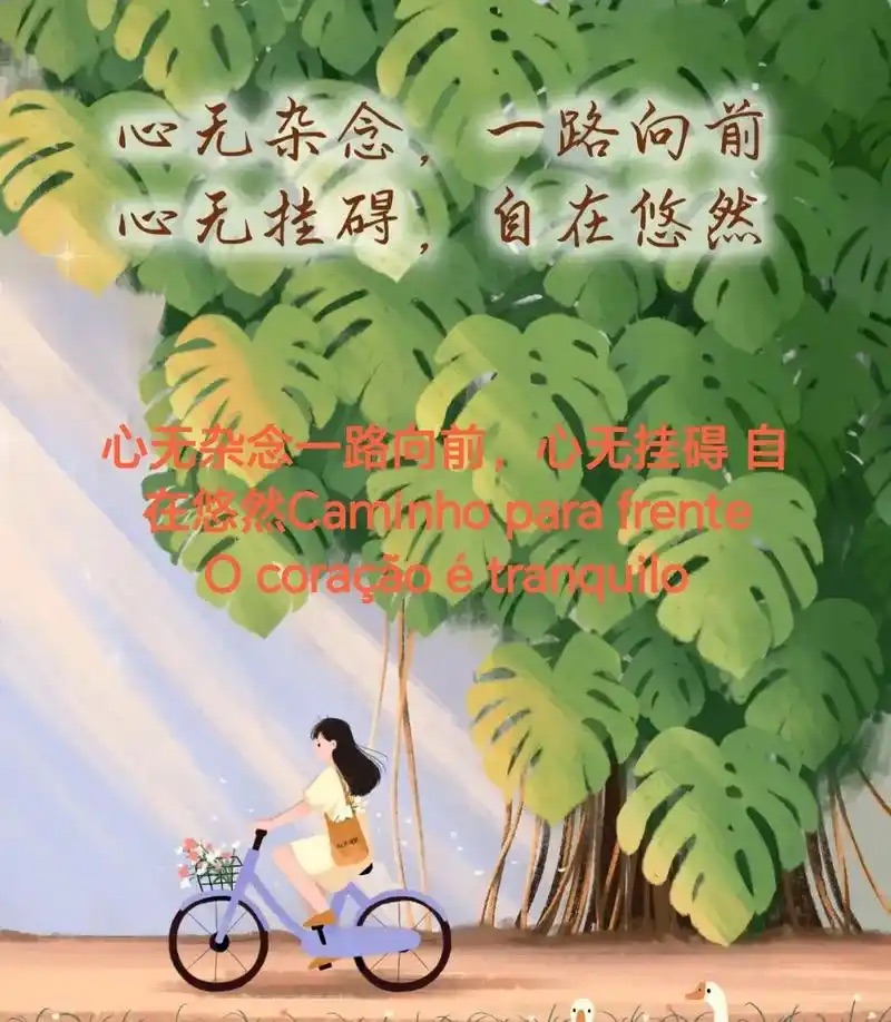 ［巾帼诗人］心有归处 行有方向//文/雨佳（图2）