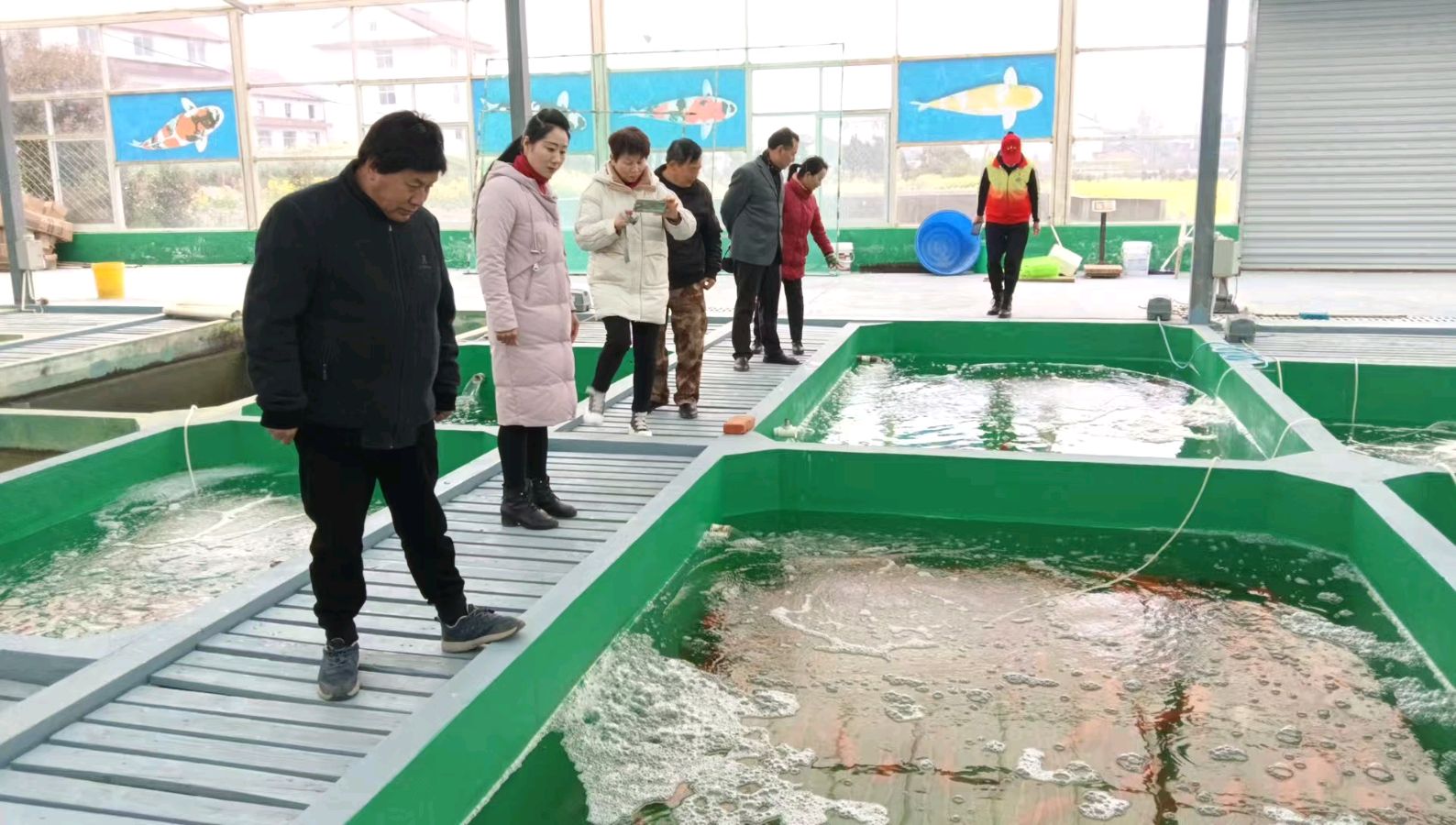走进乡村鱼塘 调研赋能振兴（图4）