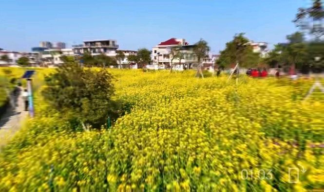 七律-泉港春来早～李宣财（福建）（图24）