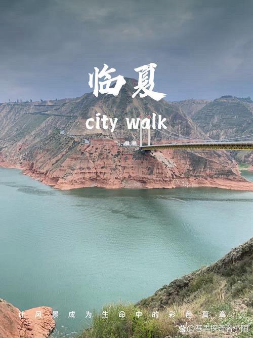 海外头条：山谷幽兰朗诵《临夏：黄河边的诗与远方》作者 ||骆驼草（图5）
