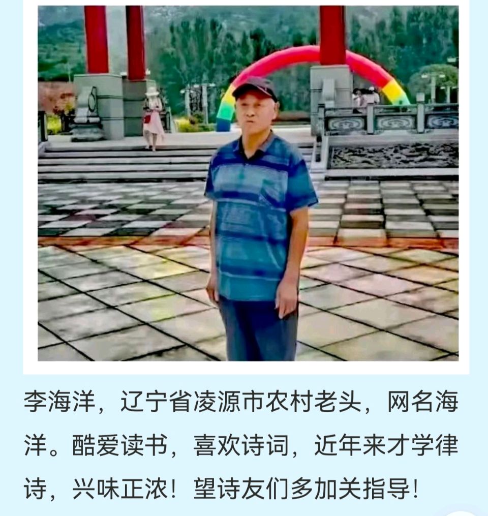 【荣耀中国】文学社*第12篇李海洋诗词欣赏（图10）