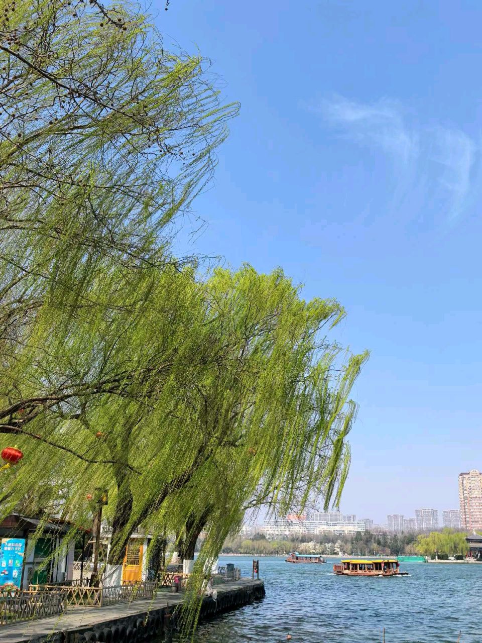 明湖春来早（图3）