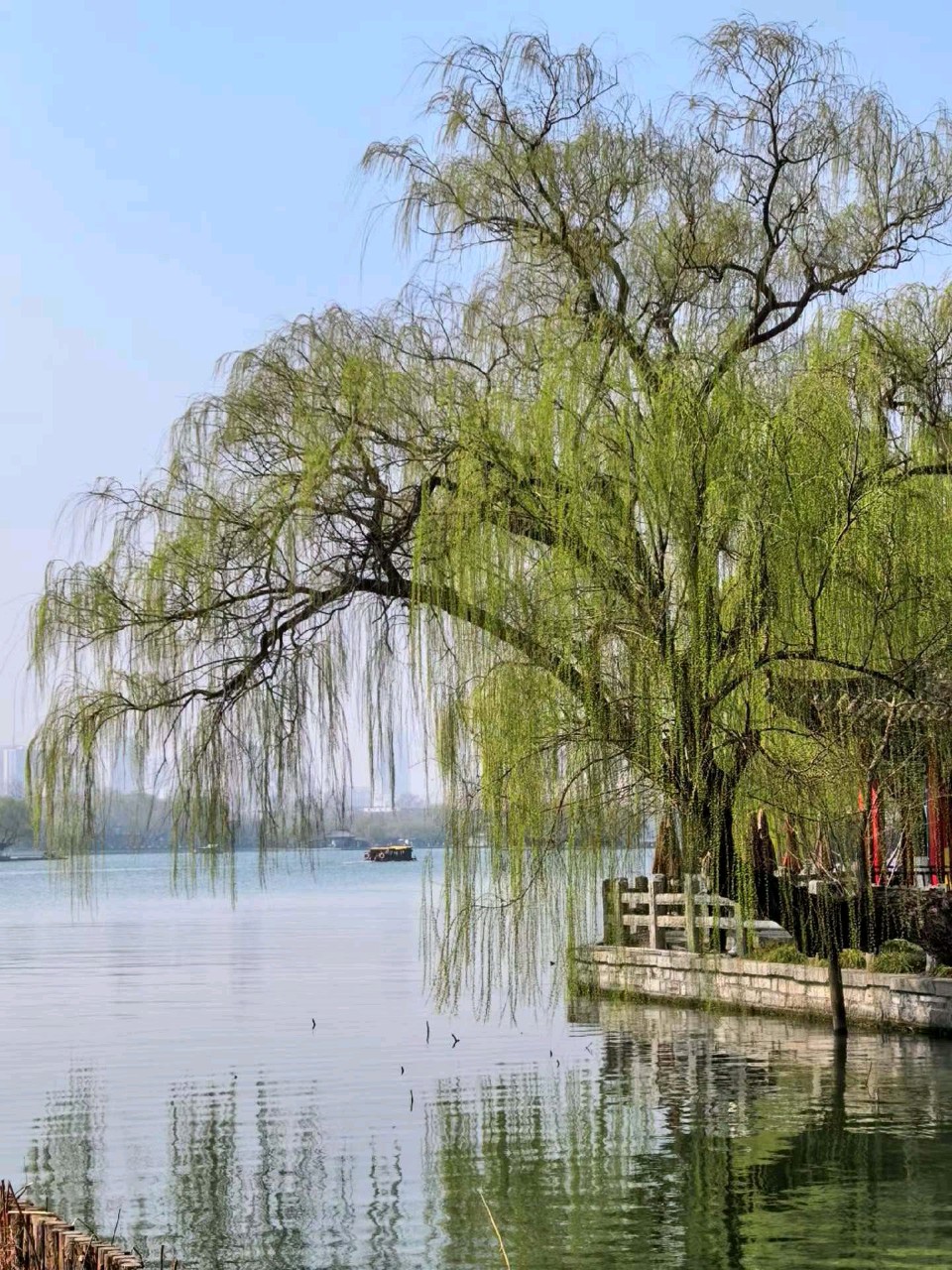 明湖春来早（图5）