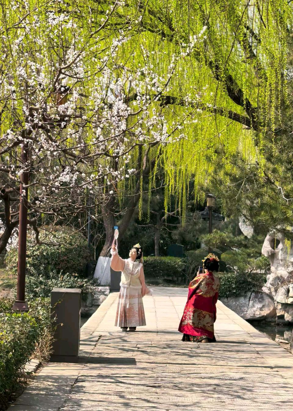 明湖春来早（图10）