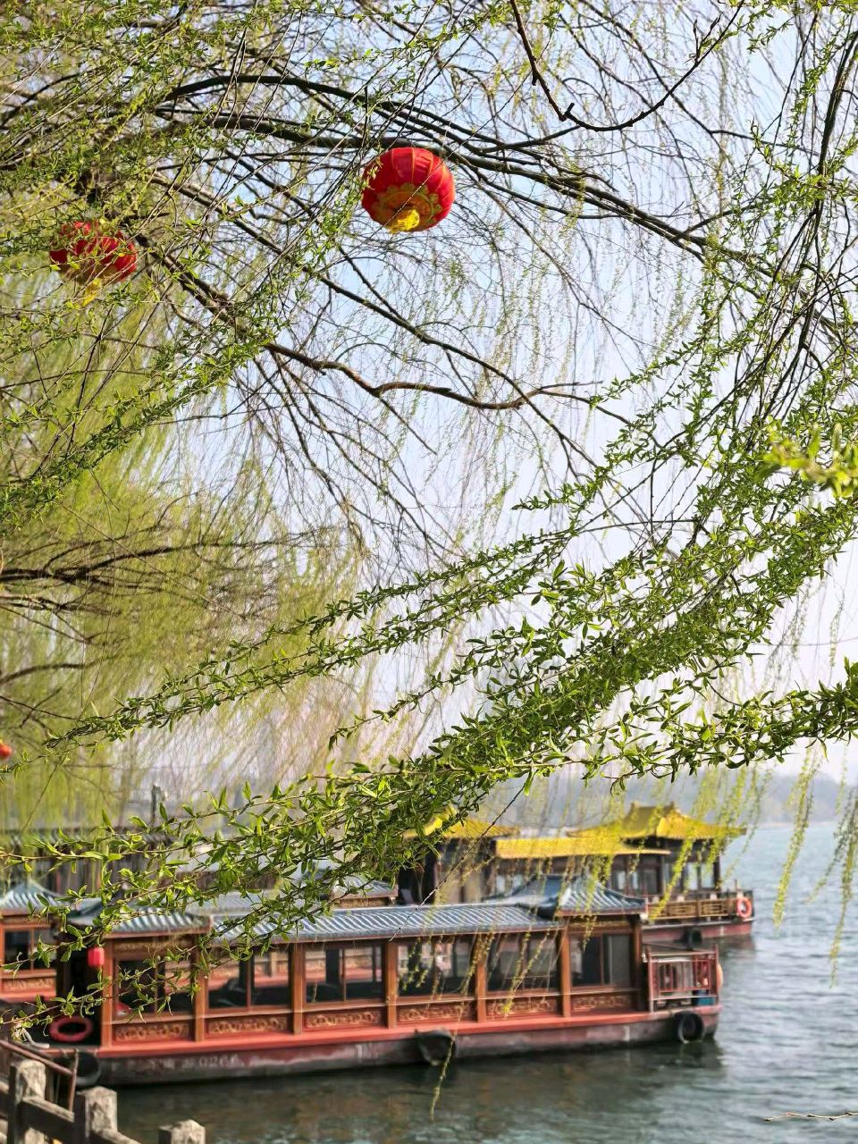明湖春来早（图6）