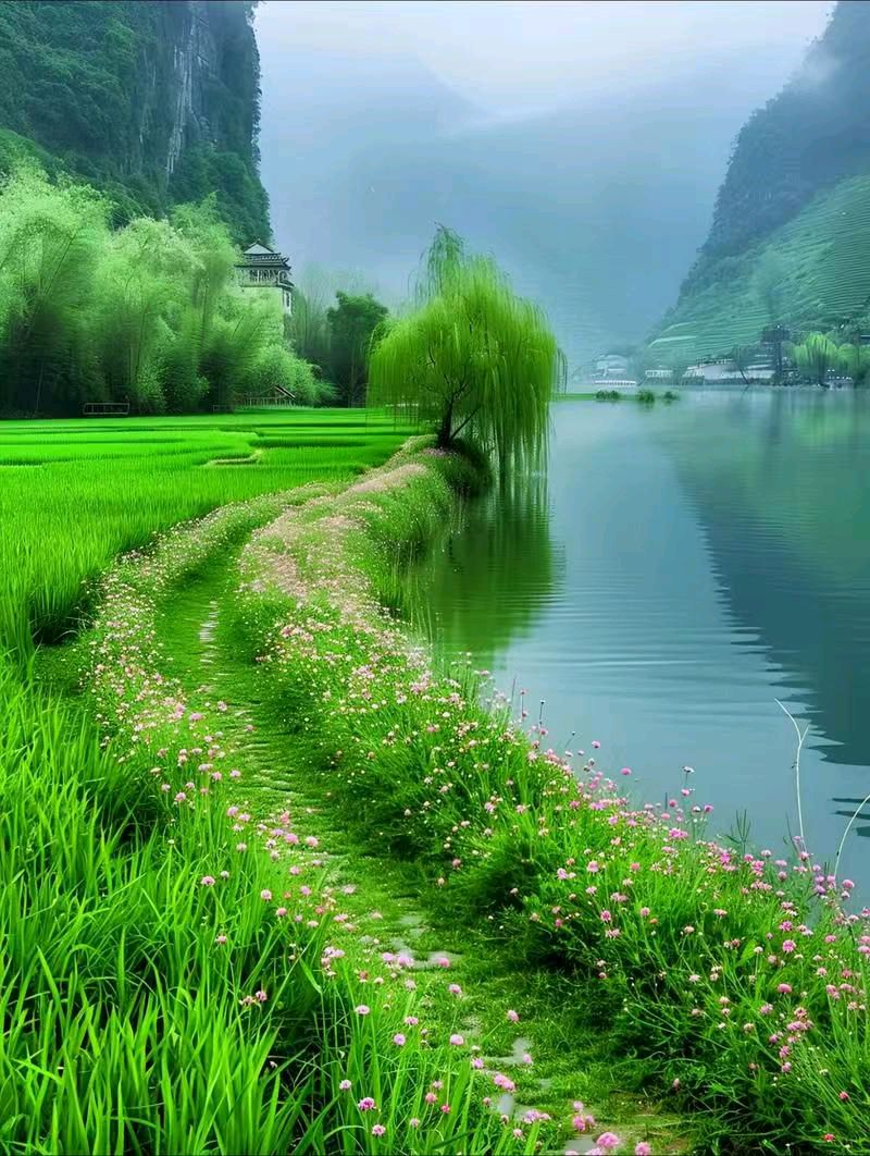 月上海棠·春晓 作者:陈华林（图2）
