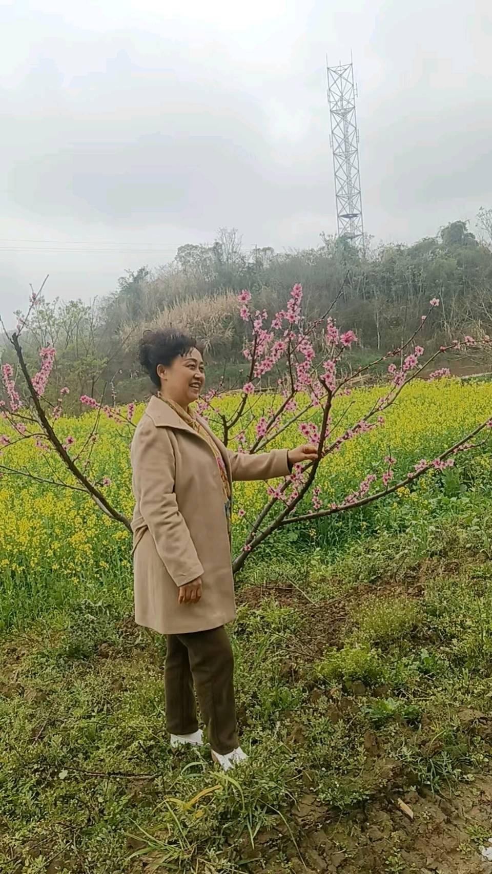 【旅游天地•西充3】张富贵：三八妇女节黄云川战友携川军南充团队邀约共进午餐同游西充县古楼镇观赏油菜花和桃花节感怀*北京头条•西安头条•都市头条发布！（图9）