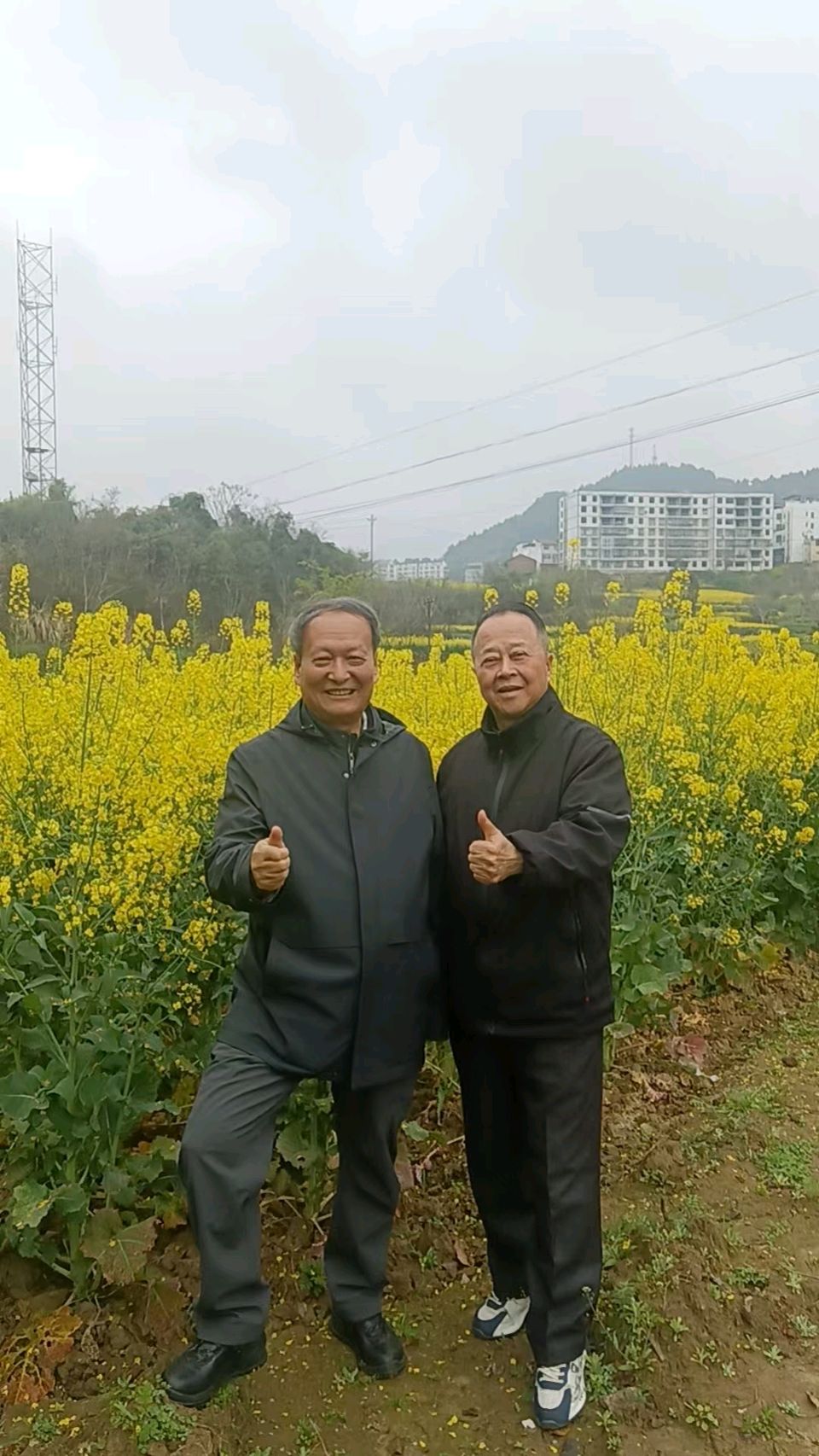 【旅游天地•西充3】张富贵：三八妇女节黄云川战友携川军南充团队邀约共进午餐同游西充县古楼镇观赏油菜花和桃花节感怀*北京头条•西安头条•都市头条发布！（图6）