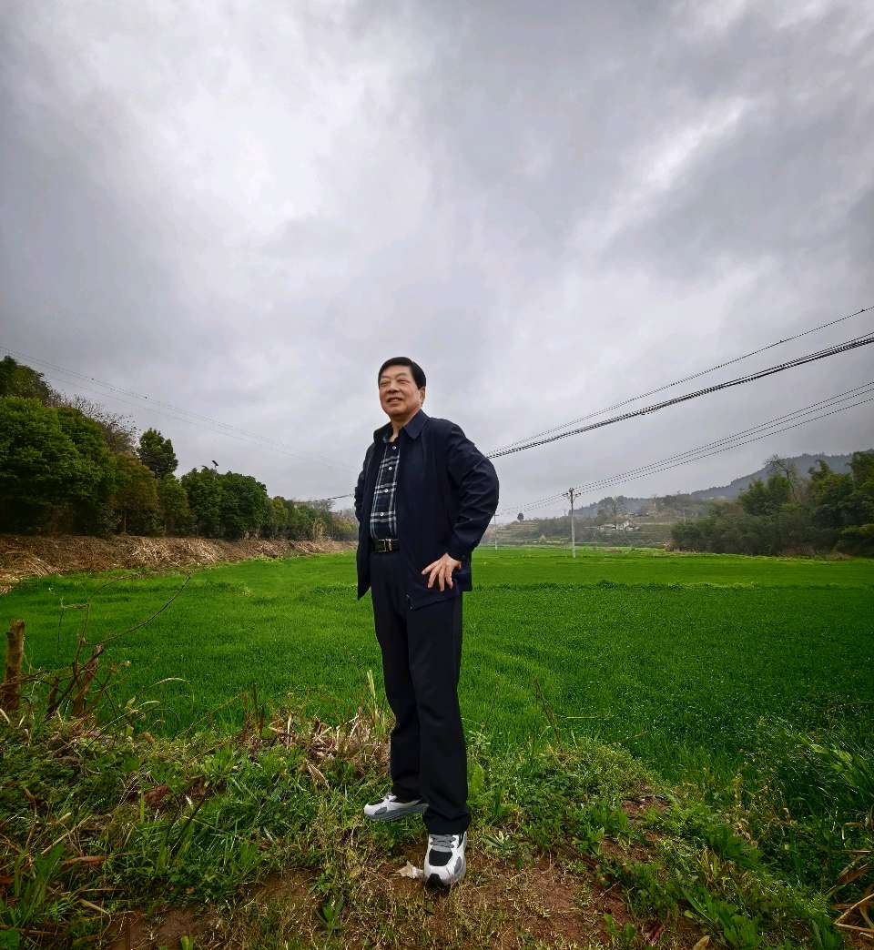 【旅游天地•西充3】张富贵：三八妇女节黄云川战友携川军南充团队邀约共进午餐同游西充县古楼镇观赏油菜花和桃花节感怀*北京头条•西安头条•都市头条发布！（图18）