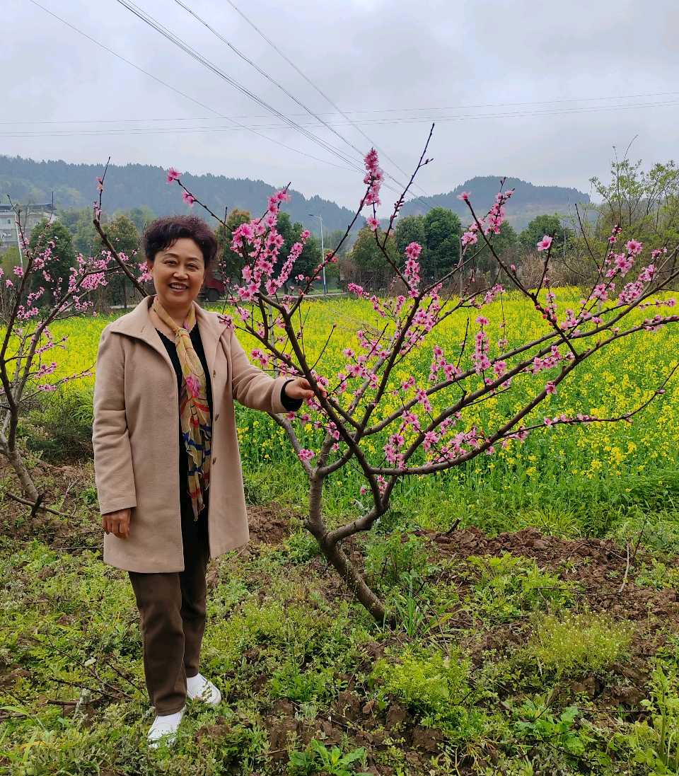 【旅游天地•西充3】张富贵：三八妇女节黄云川战友携川军南充团队邀约共进午餐同游西充县古楼镇观赏油菜花和桃花节感怀*北京头条•西安头条•都市头条发布！（图63）