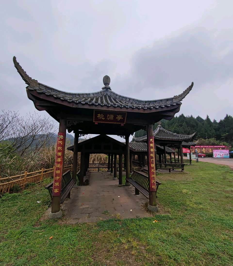 【旅游天地•西充3】张富贵：三八妇女节黄云川战友携川军南充团队邀约共进午餐同游西充县古楼镇观赏油菜花和桃花节感怀*北京头条•西安头条•都市头条发布！（图44）