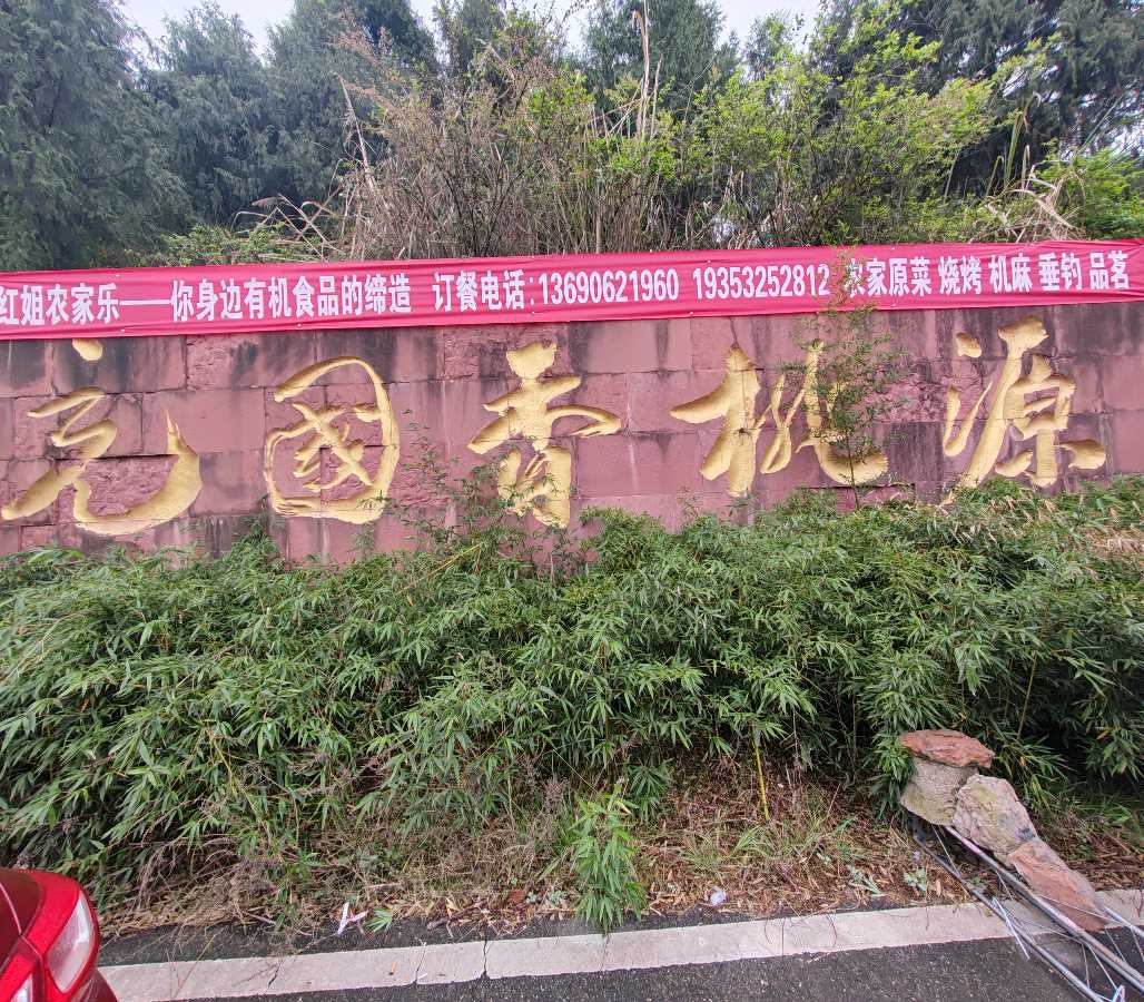 【旅游天地•西充3】张富贵：三八妇女节黄云川战友携川军南充团队邀约共进午餐同游西充县古楼镇观赏油菜花和桃花节感怀*北京头条•西安头条•都市头条发布！（图40）