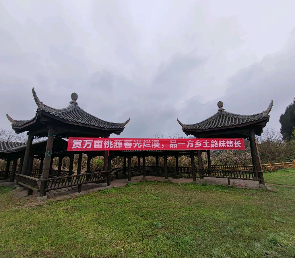 【旅游天地•西充3】张富贵：三八妇女节黄云川战友携川军南充团队邀约共进午餐同游西充县古楼镇观赏油菜花和桃花节感怀*北京头条•西安头条•都市头条发布！（图43）