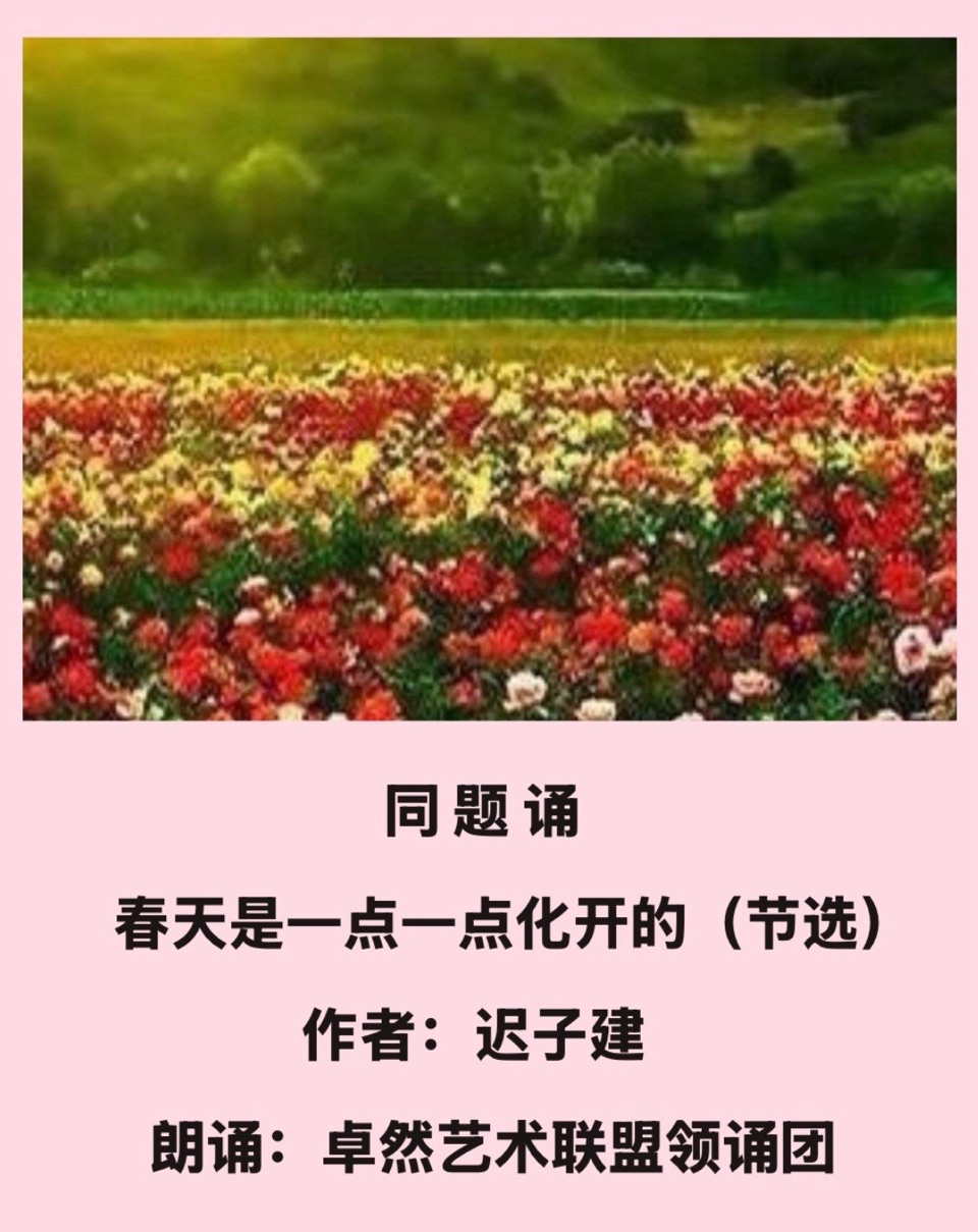 【卓然艺术联盟】 同题诵：春天是一点一点化开的（节选）作者：迟子建 朗诵：卓然艺术联盟领诵•上集（总3169期）（图17）