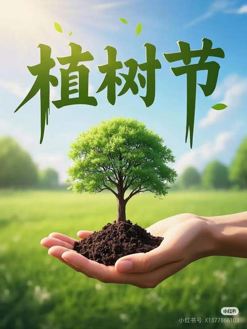 海外头条：《植此青绿 诗满神州》作者 ||山之子（图5）