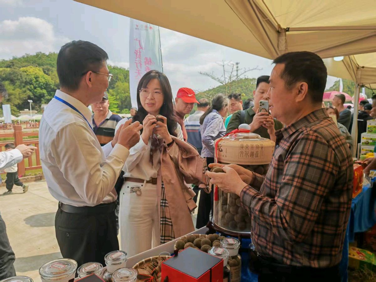 《中国化橘红第一镇平定赋》联机全球发布谢瑛中作品欣赏(图33)