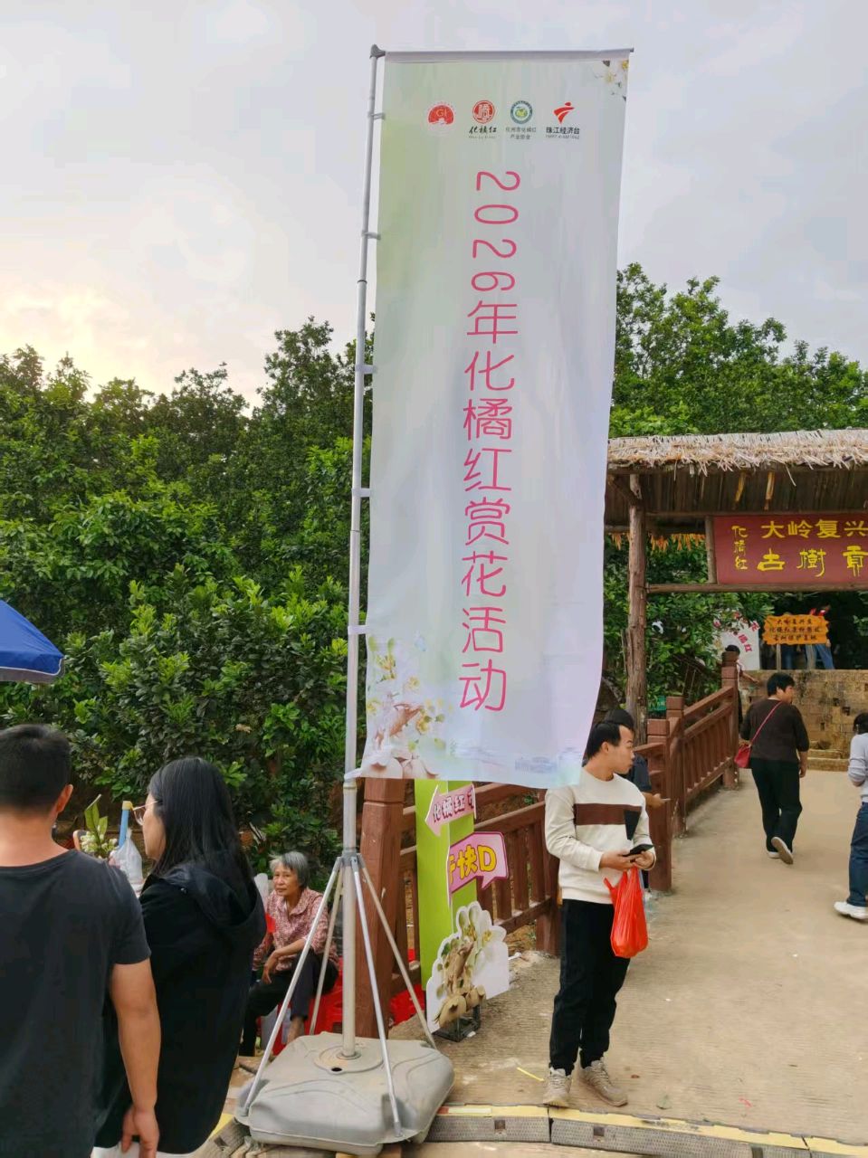 《中国化橘红第一镇平定赋》联机全球发布谢瑛中作品欣赏(图35)
