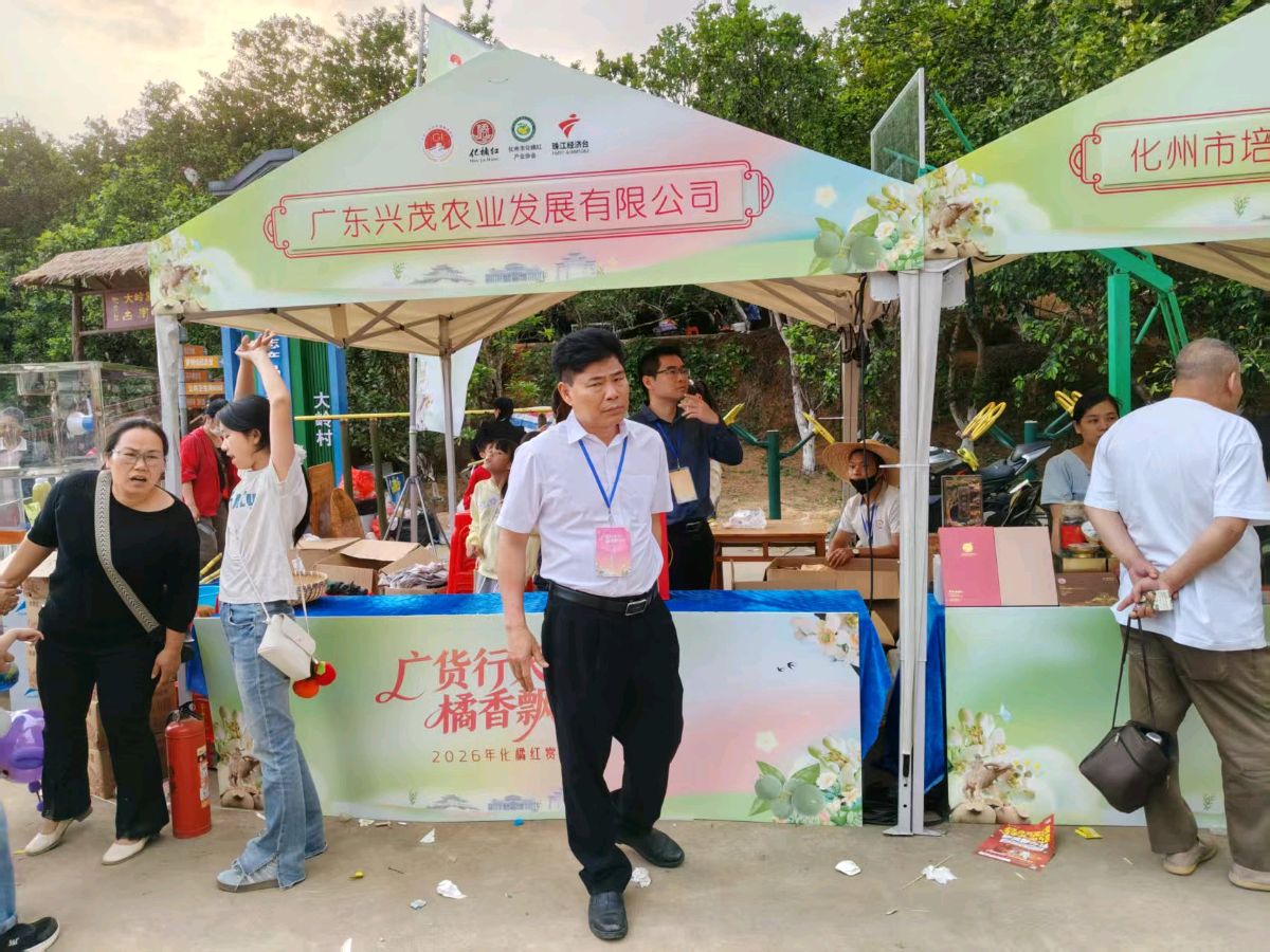 《中国化橘红第一镇平定赋》联机全球发布谢瑛中作品欣赏(图37)