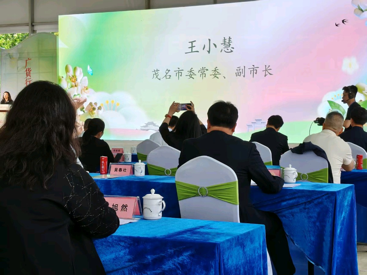 《中国化橘红第一镇平定赋》联机全球发布谢瑛中作品欣赏(图17)
